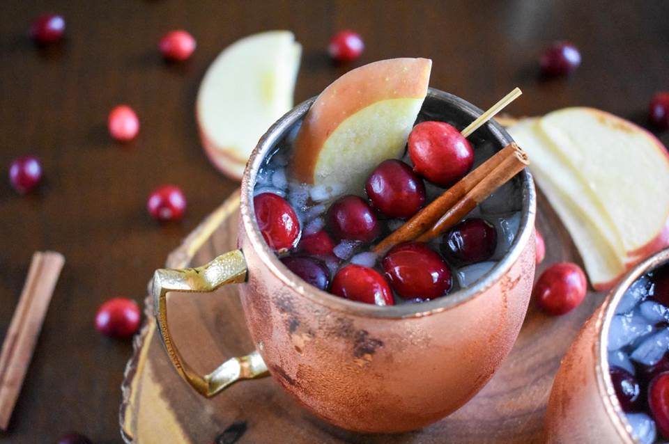 festive thanksgiving mule cocktail decorated with fresh cranberries, apple slice, and cinnamon stick.