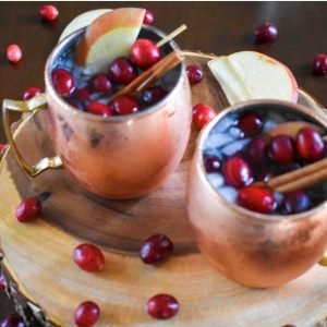 Cranberry Apple Spice Mules are perfect for Fall and any holiday gathering. They'll make you feel warm & fuzzy with just a few ingredients! Cocktail recipe by Dash of Jazz