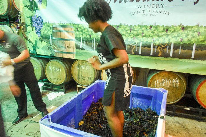A night at Messina Hof Estate and Winery in Bryan, Texas full of grape stomping, wine tasting, and Texas history! Plan your next trip with this post by Dash of Jazz