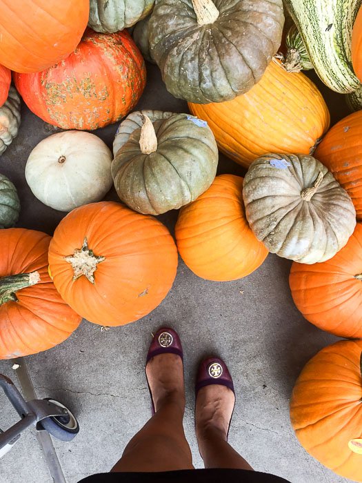 standing with pumpkins at my feet
