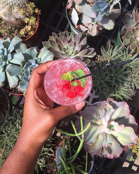 raspberry smash mocktail held over a backdrop of succulents and cacti