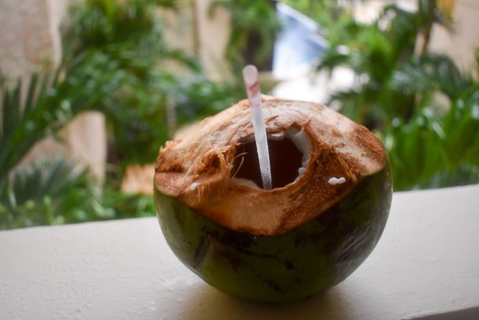 fresh coconut with straw