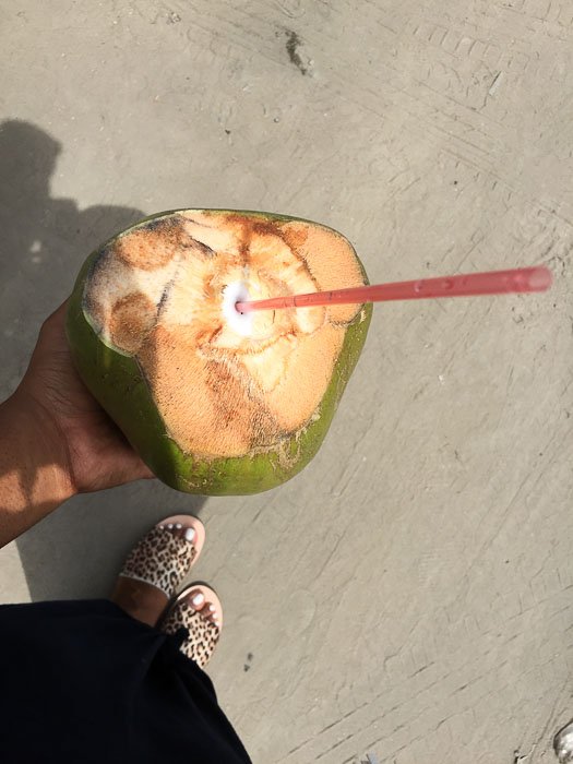 fresh cut coconut and straw