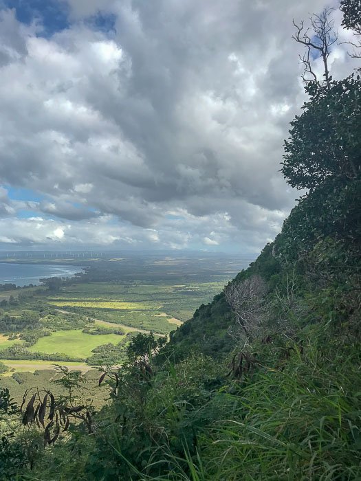 View along Kealia Trail Oahu Hawaii
