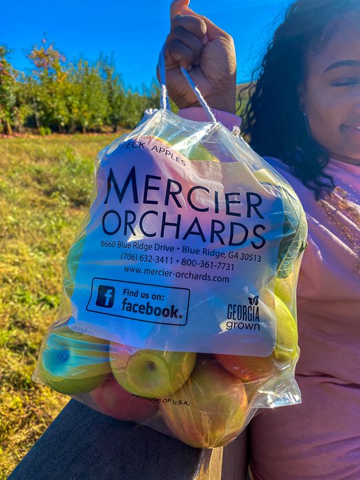 holding bag of freshly-picked apples at Mercier Orchards