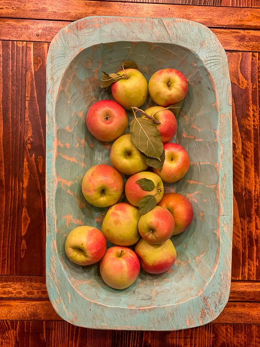 fresh-picked apples in dish on table
