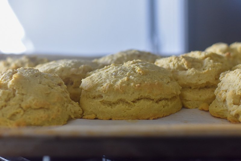 pan of fluffy vegan buttermilk biscuits