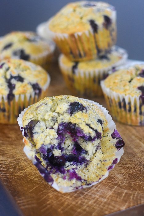 jumbo blueberry poppyseed muffin