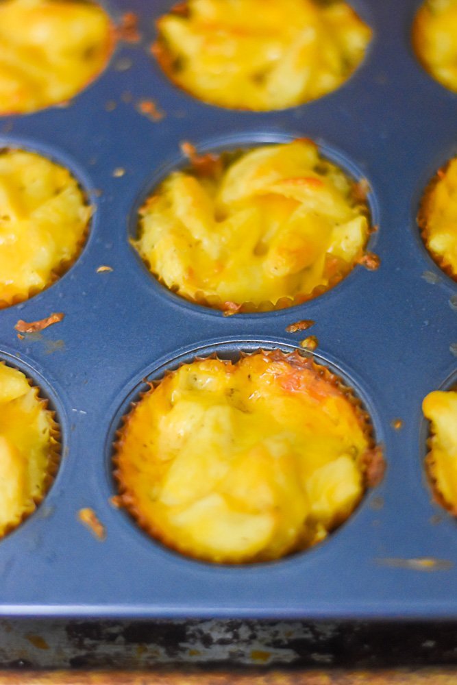 mac and cheese baked into muffin tin.