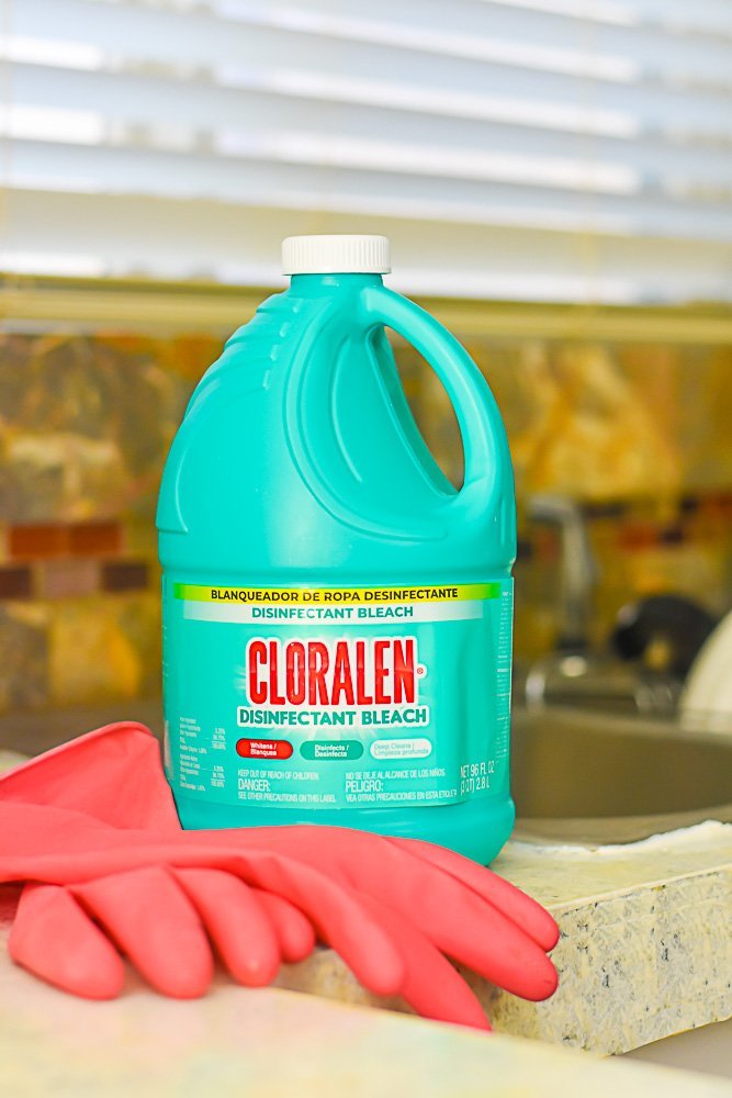 bottle of Cloralen Disinfectant Bleach on countertop next to pink rubber gloves.