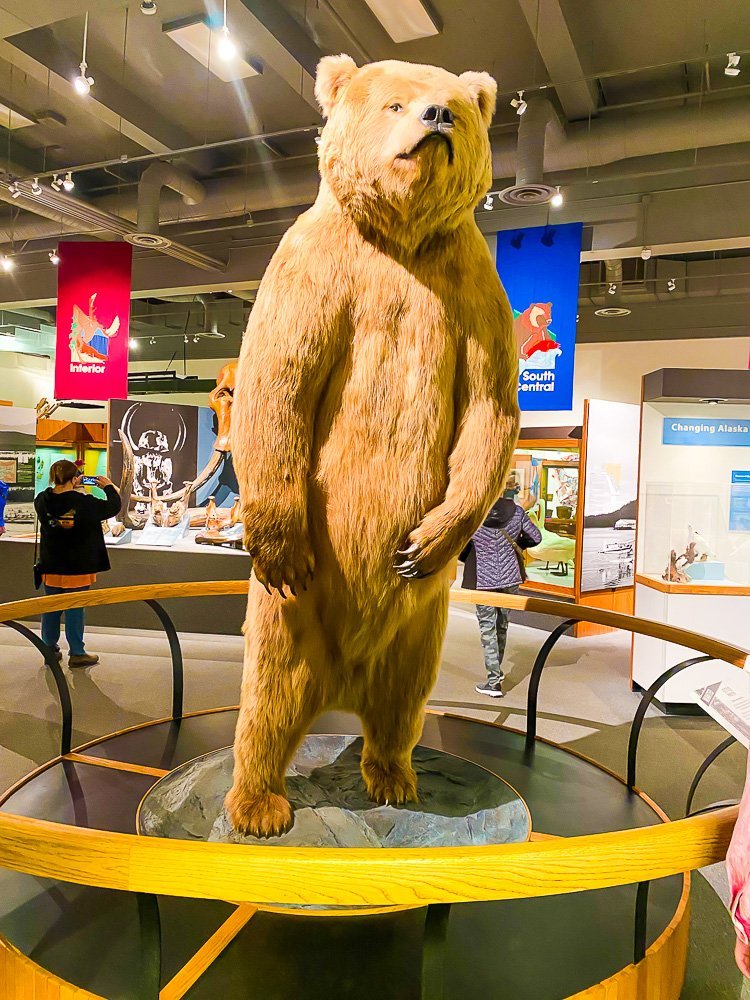 bear statue at Musuem of the North.