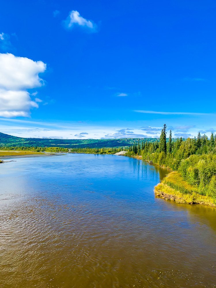 banks of Chena River in Fairbanks, Alaska.