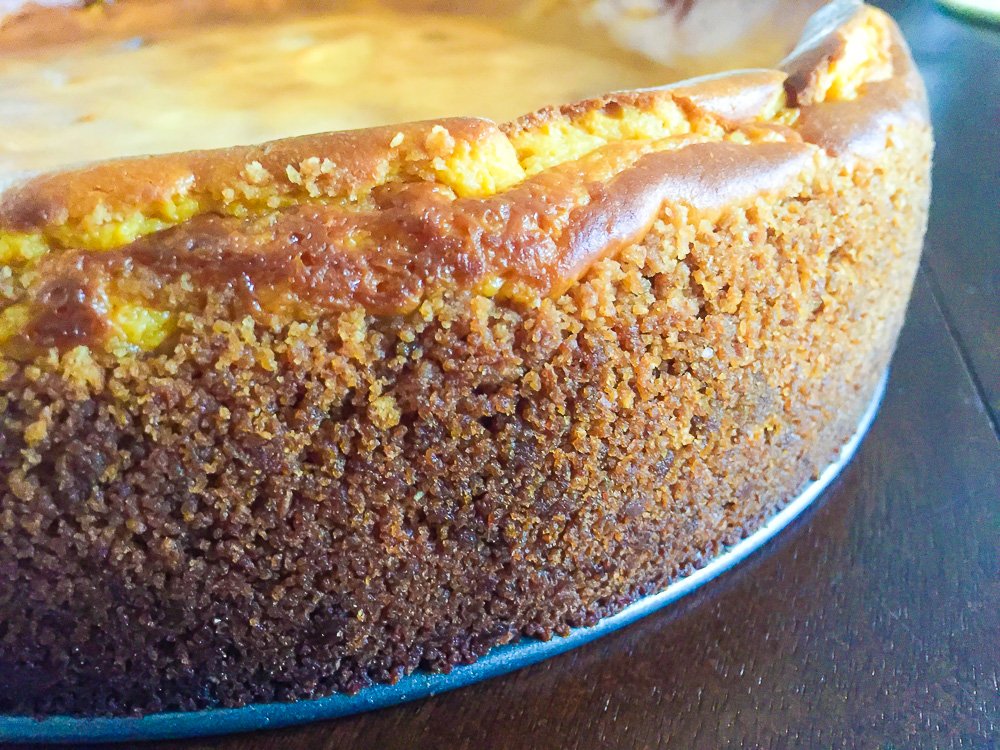 closeup of graham cracker crust on baked and chilled pumpkin cheesecake.