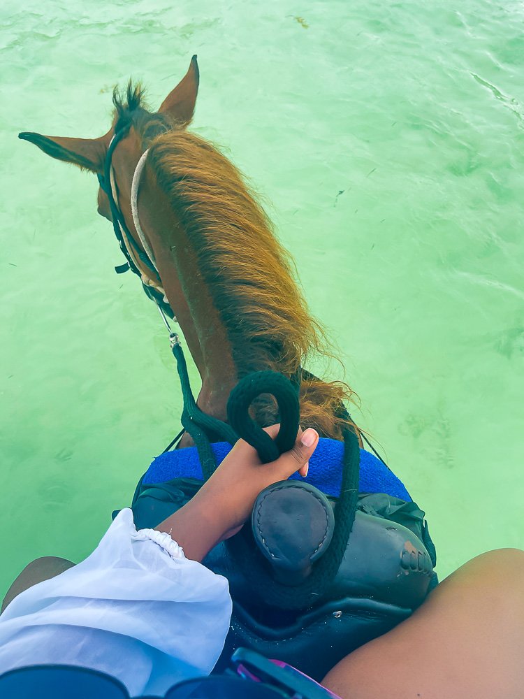 Riding horse in ocean on Turks & Caicos.