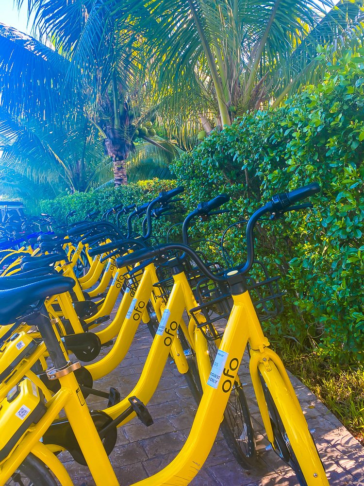 yellow bikes lined up at The Oasis at Grace Bay boutique hotel.