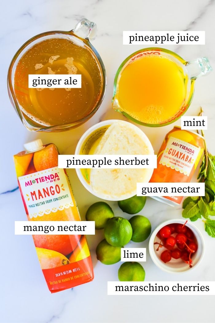 ingredients for tropical sherbet punch  on marble countertop.
