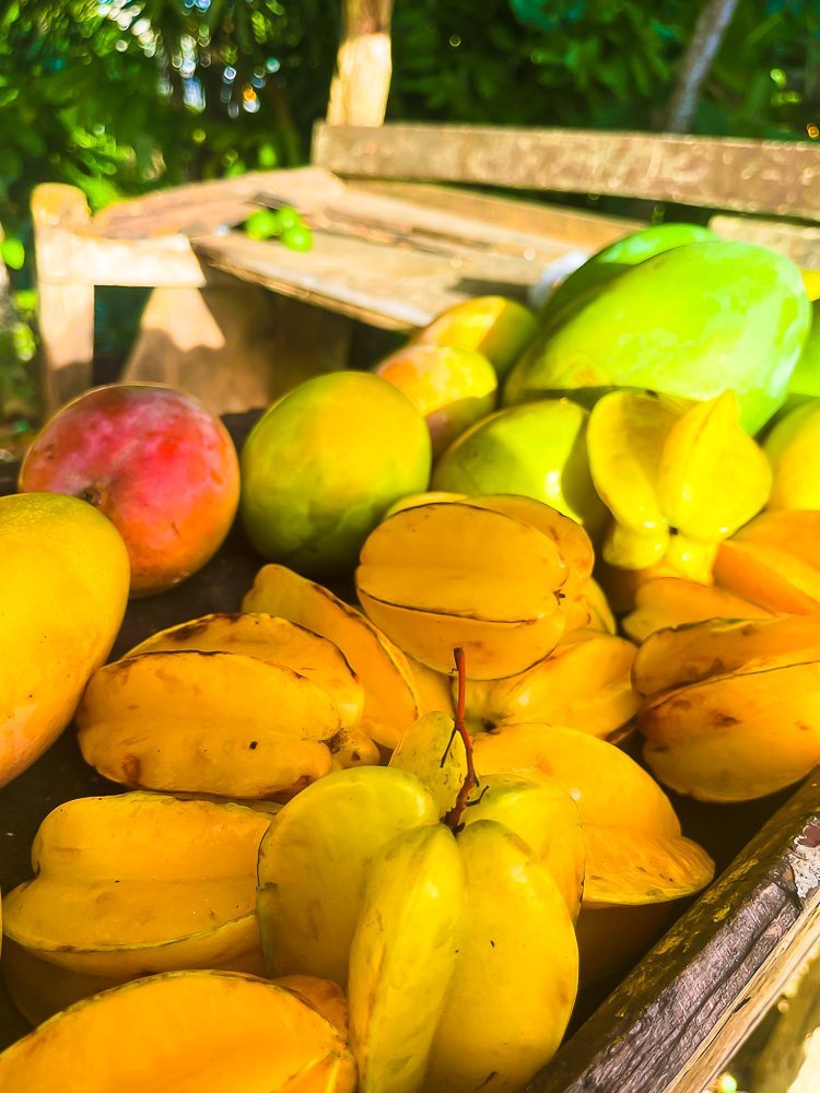 fresh starfuit and mangoes.