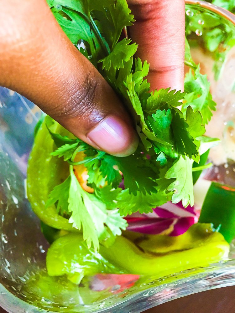 putting handful of cilantro leaves in a blender filled with produce for fresh salsa.