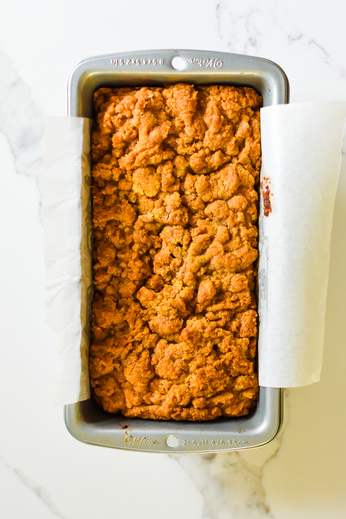 golden brown loaf of baked applesauce bread with crumb topping in loaf pan.