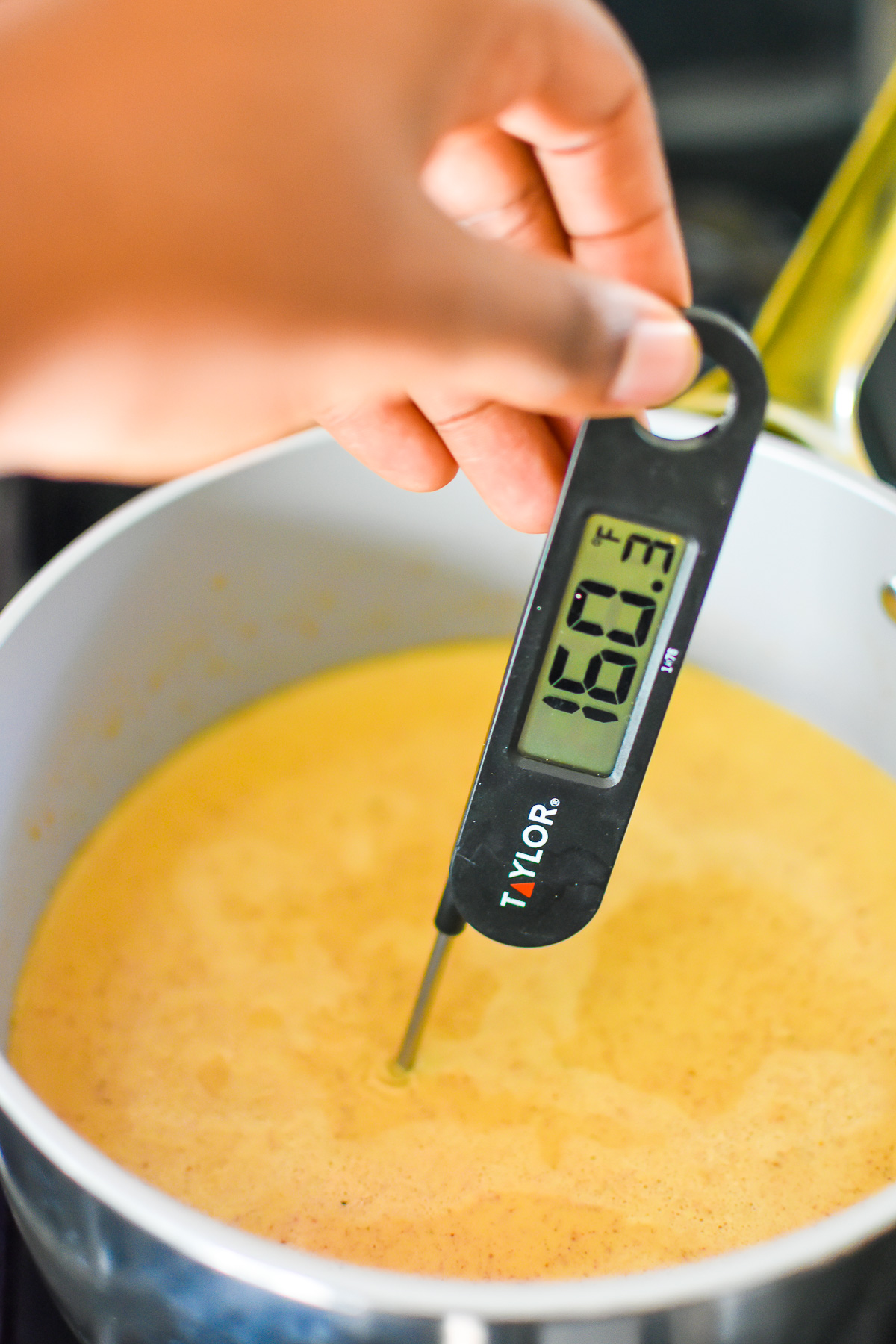 food thermometer reading 160.3 degrees farenheit in a pot of homemade eggnog.