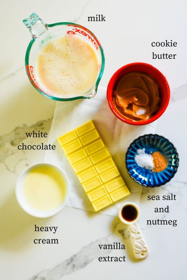 The Best Cookie Butter Hot Chocolate - Dash of Jazz