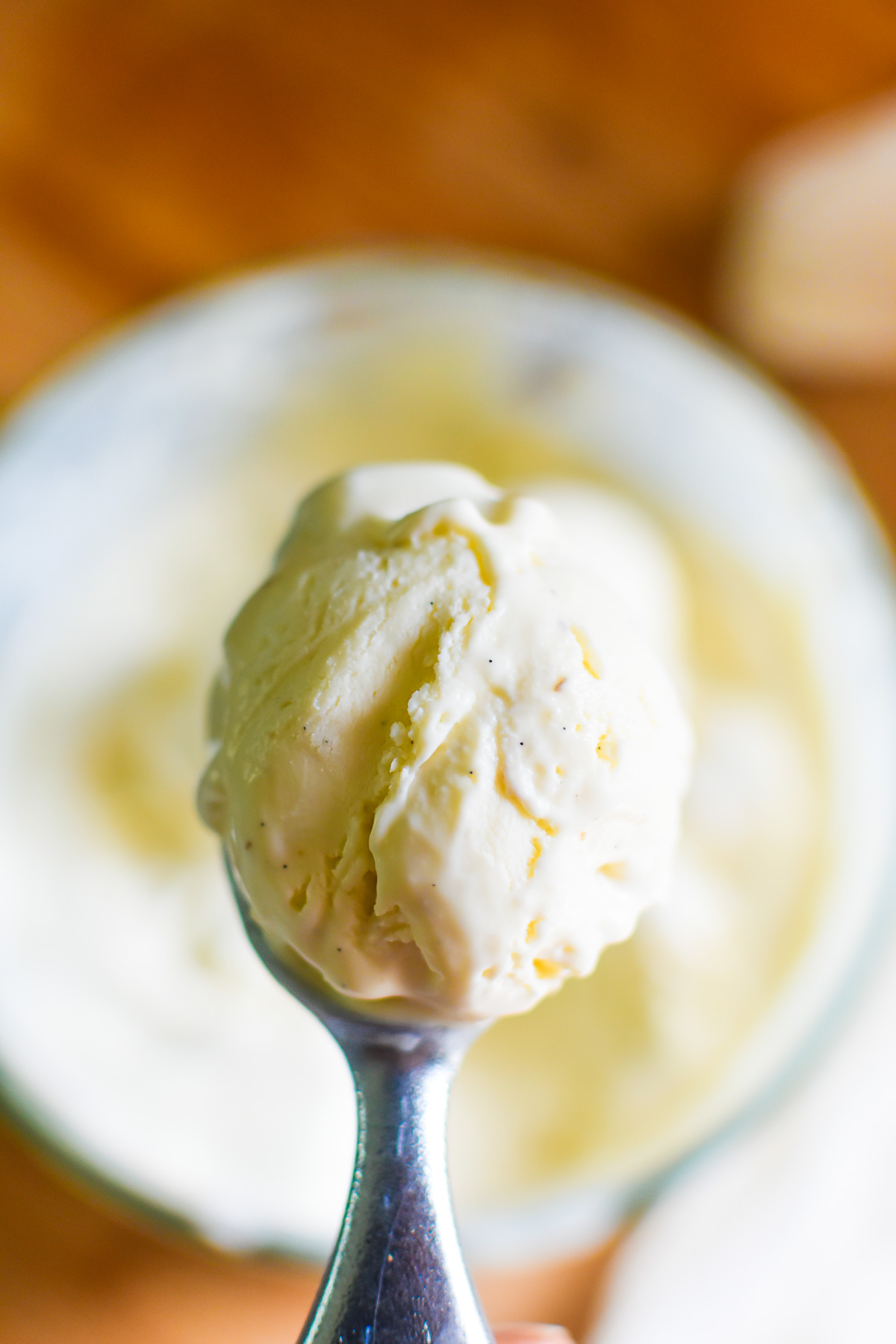 scoop of double vanilla ice cream made using vanilla beans and without an ice cream maker.