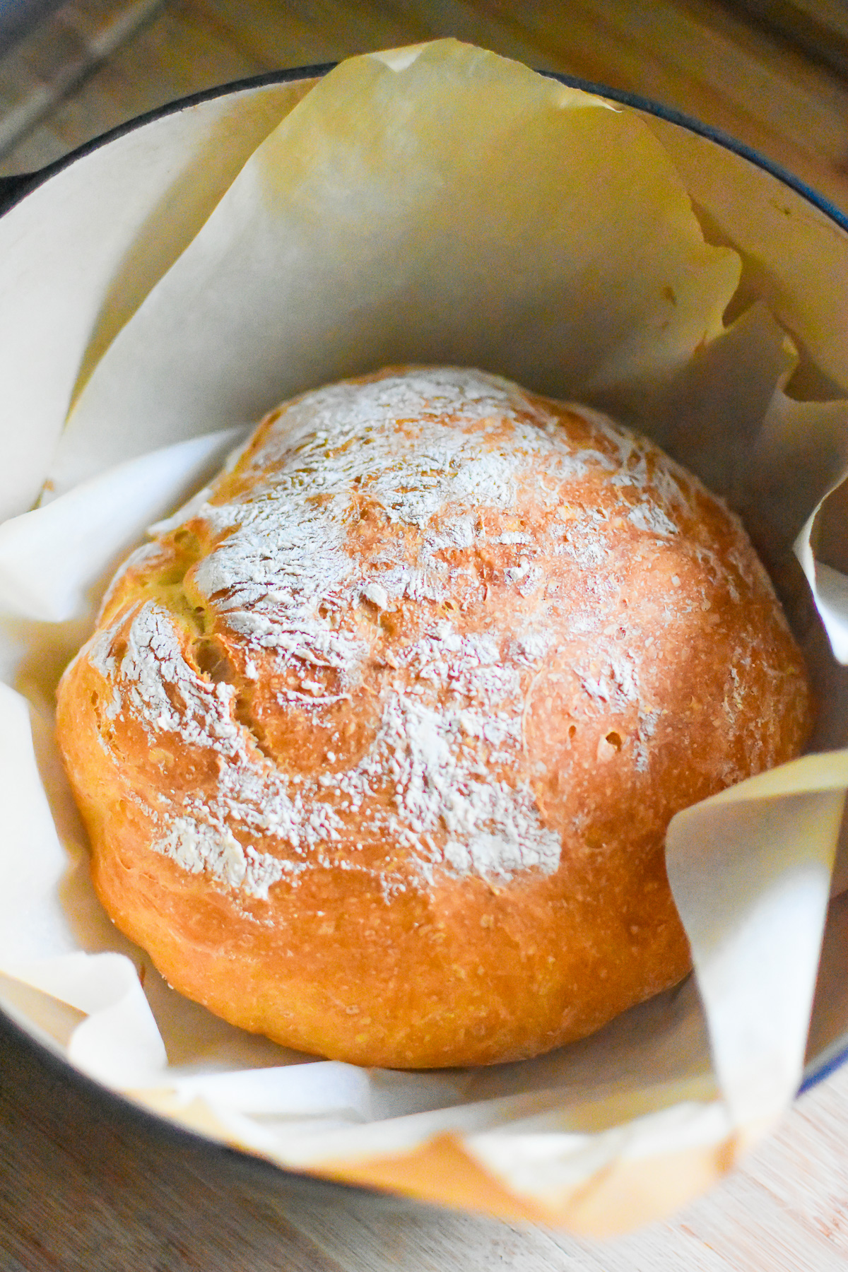 best freshly-baked buttermilk bread loaf from scratch in a Dutch oven.